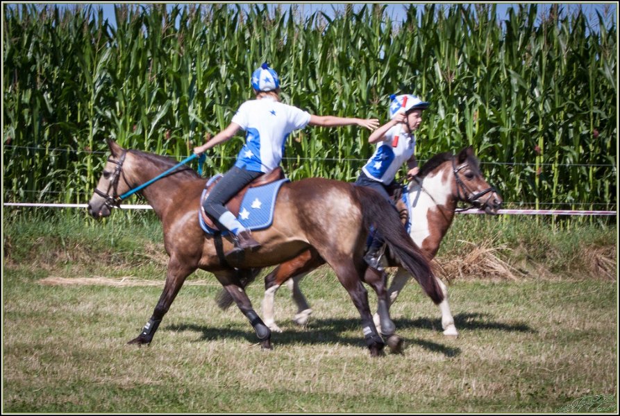 Mounted Games 013